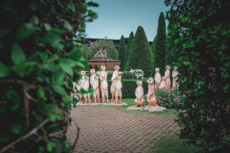 Bridesmaids - My, Pattaya, Thailand, The photo, Canon