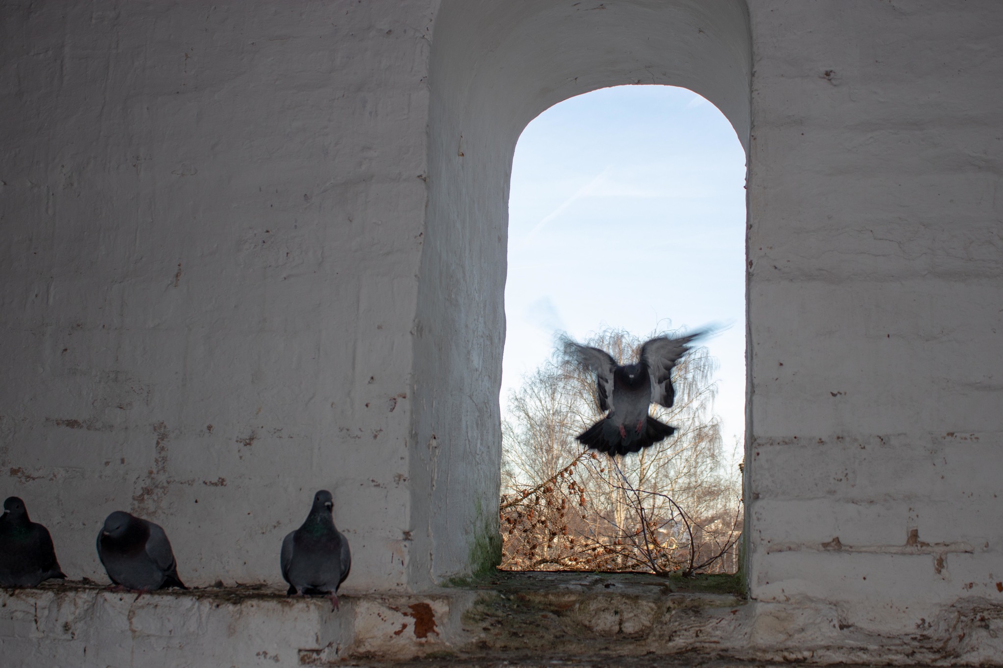 Travel to Uglich. This is such a beautiful city of the Golden Ring of Russia! - My, Travels, Weekend travel, Longpost