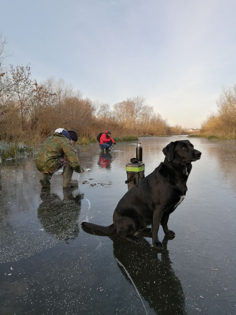 First ice, modestly opened the season in the Moscow region - My, Winter fishing, Ice, freezing, Fishing, Longpost