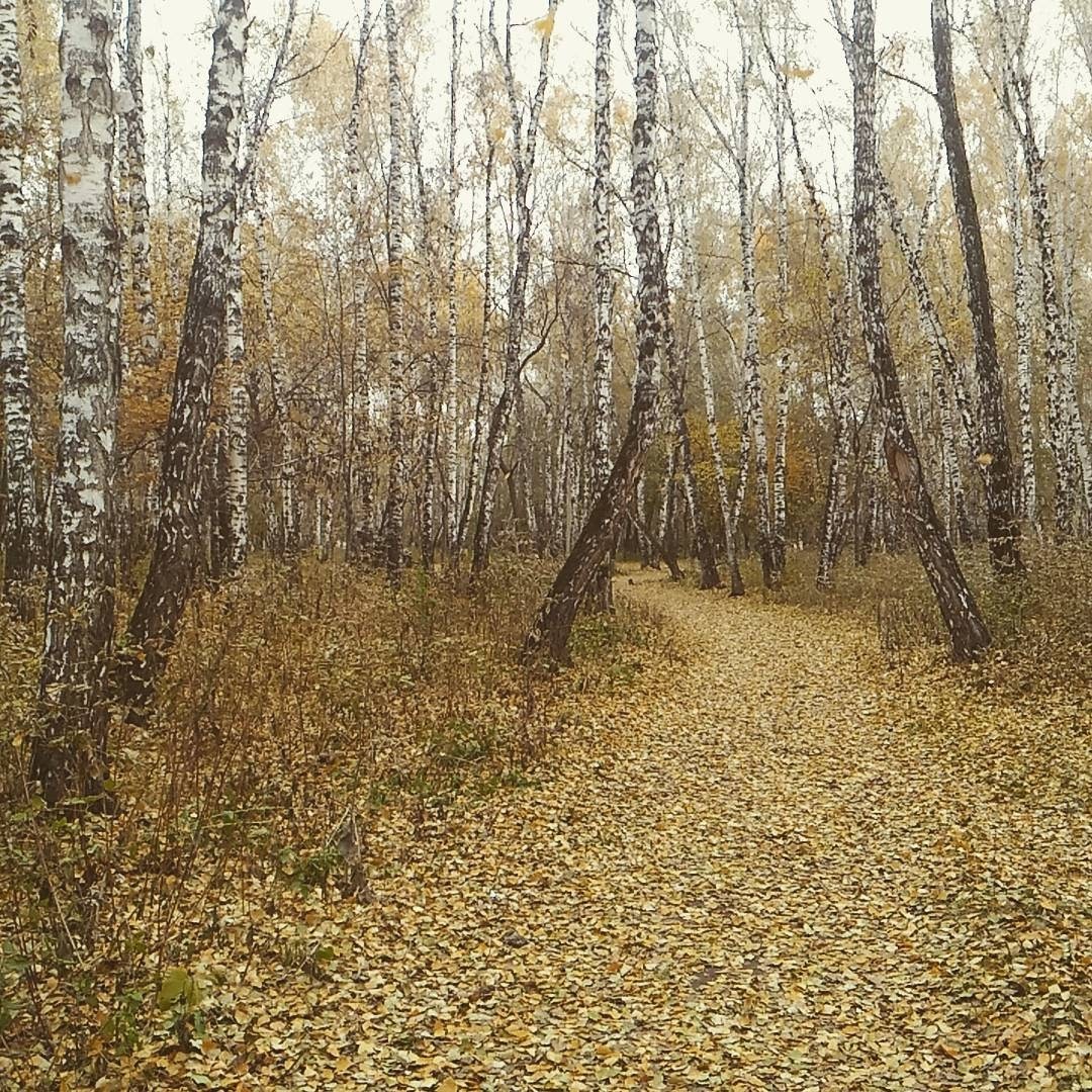 Займы челябинск чмз