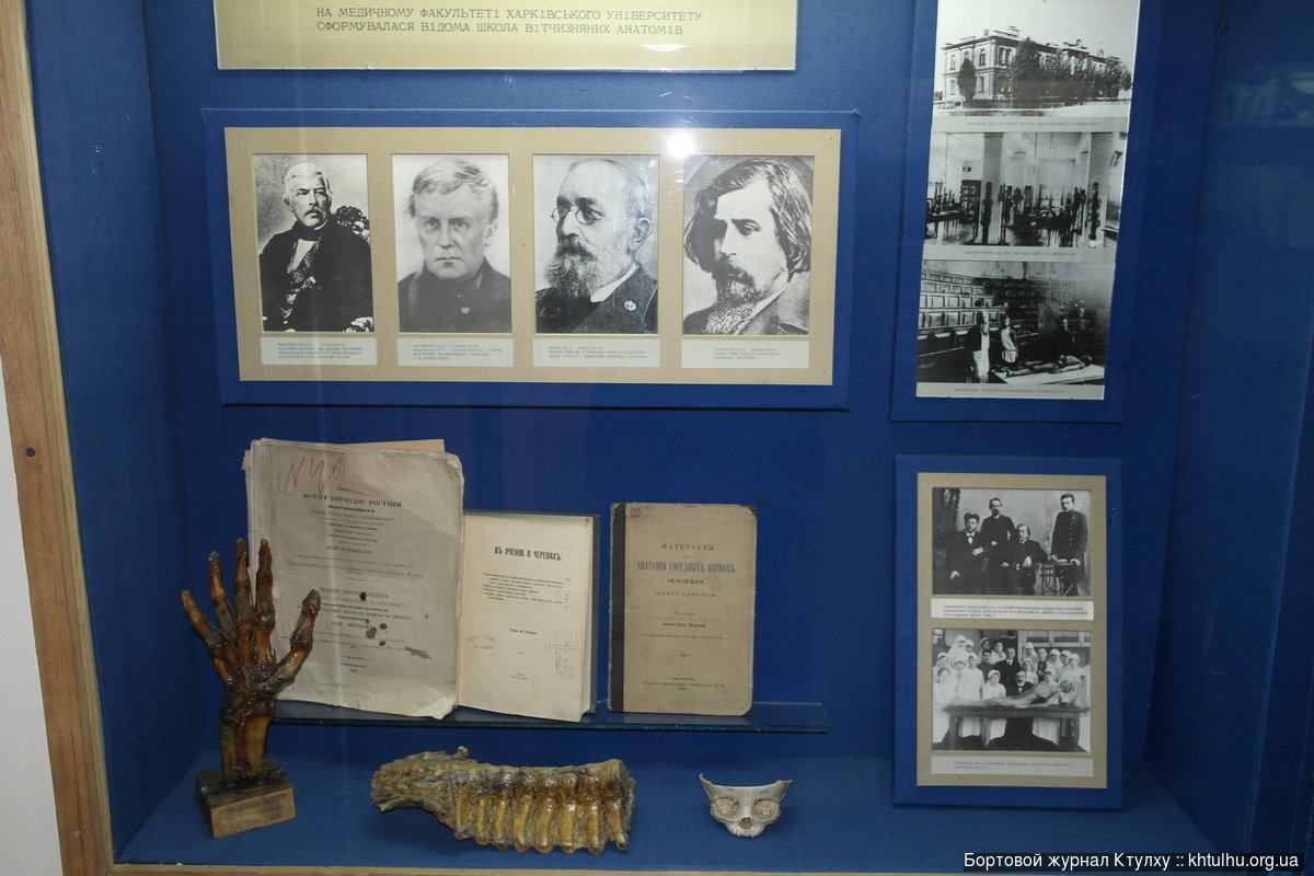 Kyiv National Museum of Medicine - My, The medicine, Museum, Kiev, Longpost