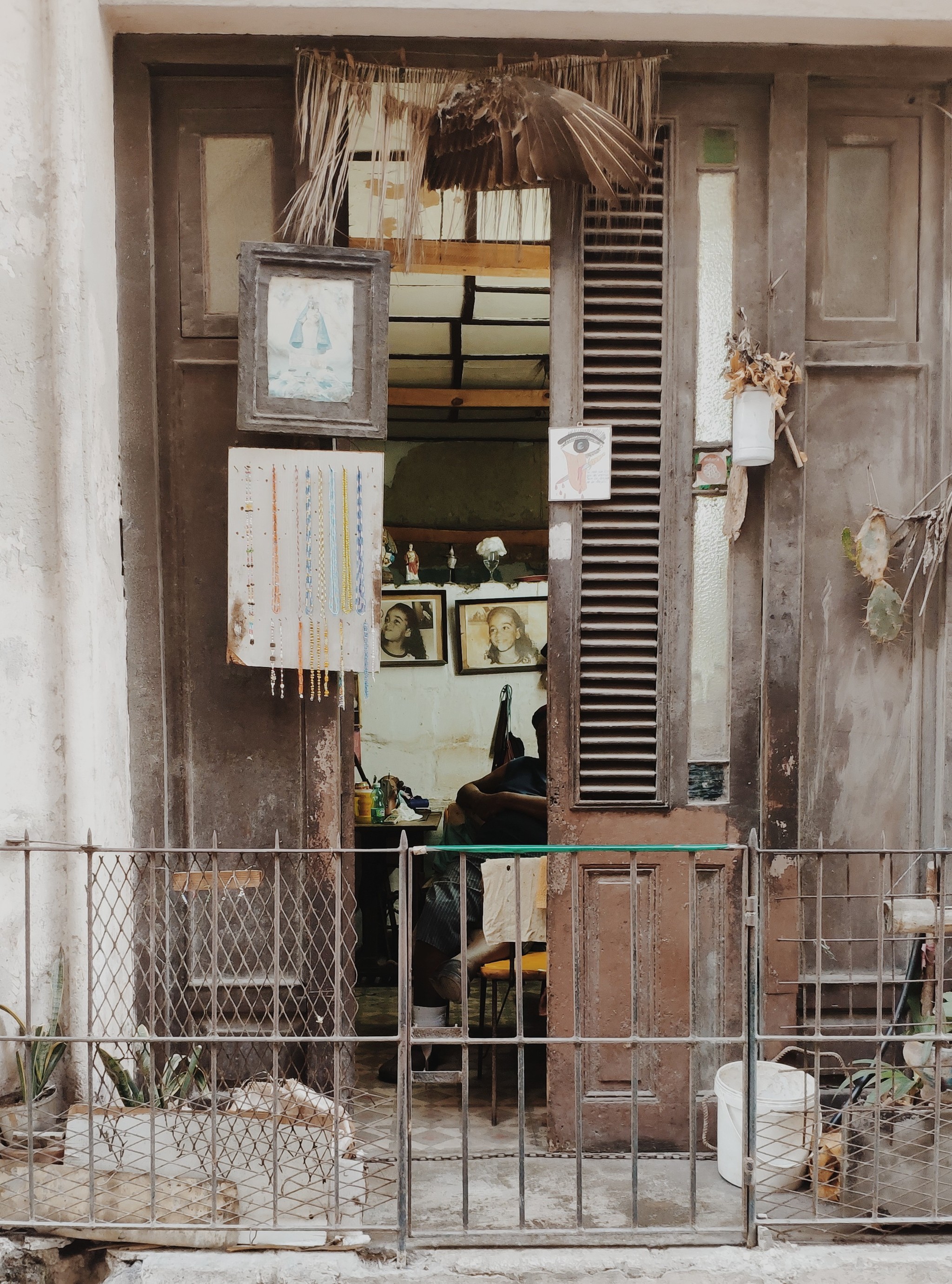 Cuba. State cows/Masons/Salaries - My, Cuba, Havana, Travels, Masons, Longpost