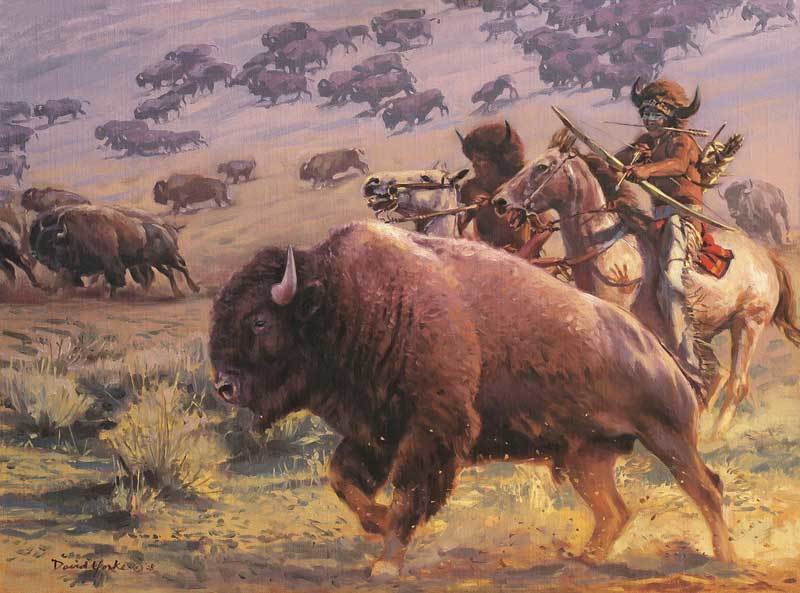 Who actually exterminated the bison in the USA? - My, Indians, Story, America, Buffalo, USA, Longpost