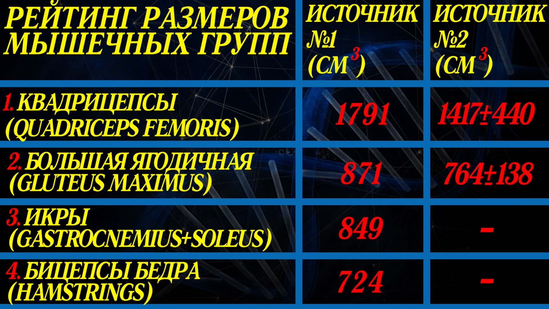 РЕАЛЬНЫЕ размеры скелетных мышц человека. Такое стоит увидеть! - Моё, Мышцы, Размер, Тренажерный зал, Качок, Фитнес, Бодибилдинг, Длиннопост