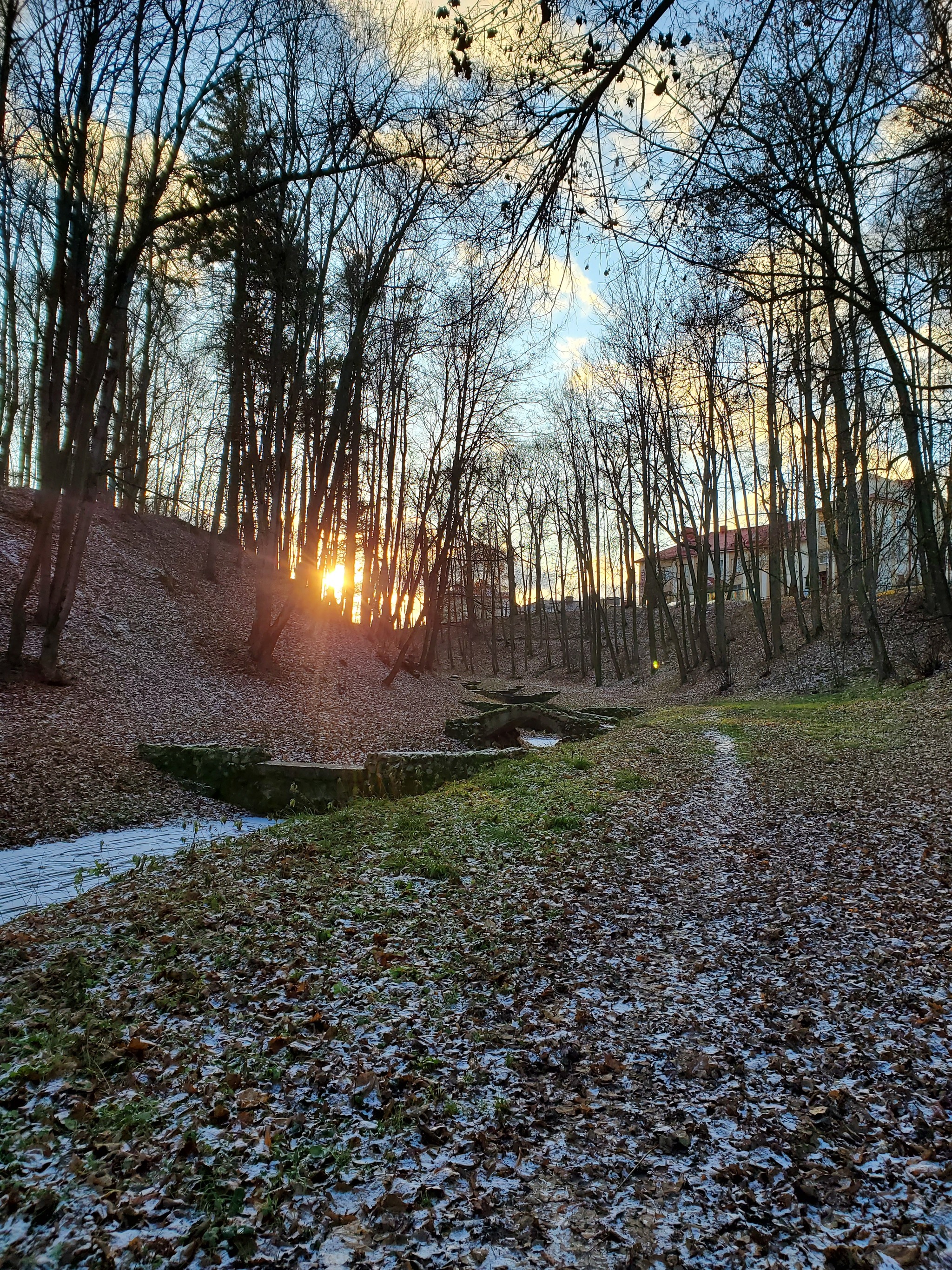 Tyshkevich Park in Logoisk - My, Beginning photographer, Mobile photography, The photo, Longpost