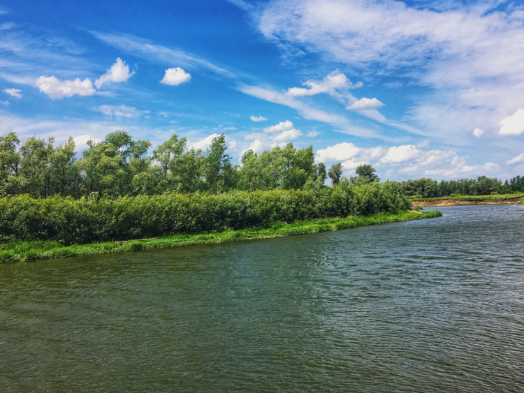 Summer 2019. Samara region - My, Longpost, Landscape, The photo, Amateur photographer, Lightroom