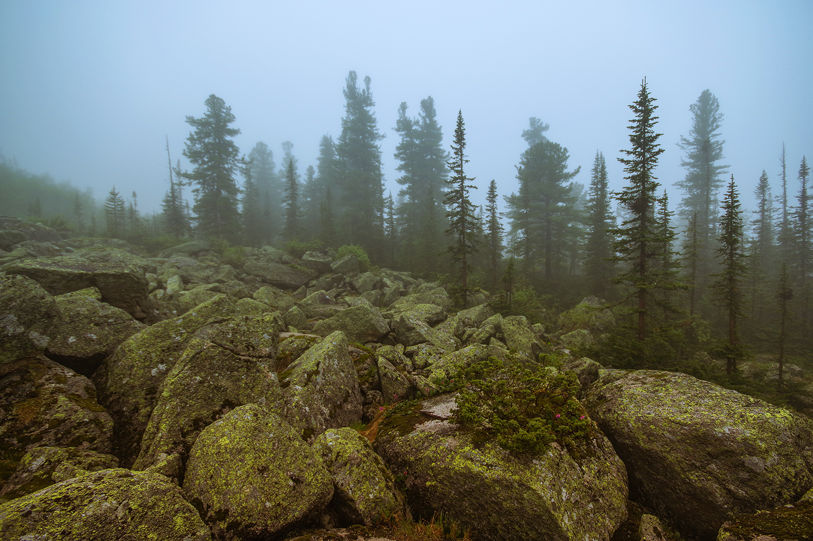 Why did we go to the Taiga Eye? - My, Ergaki, Travels, Mountain tourism, Michael, Health, The photo, Landscape, wildlife, Longpost