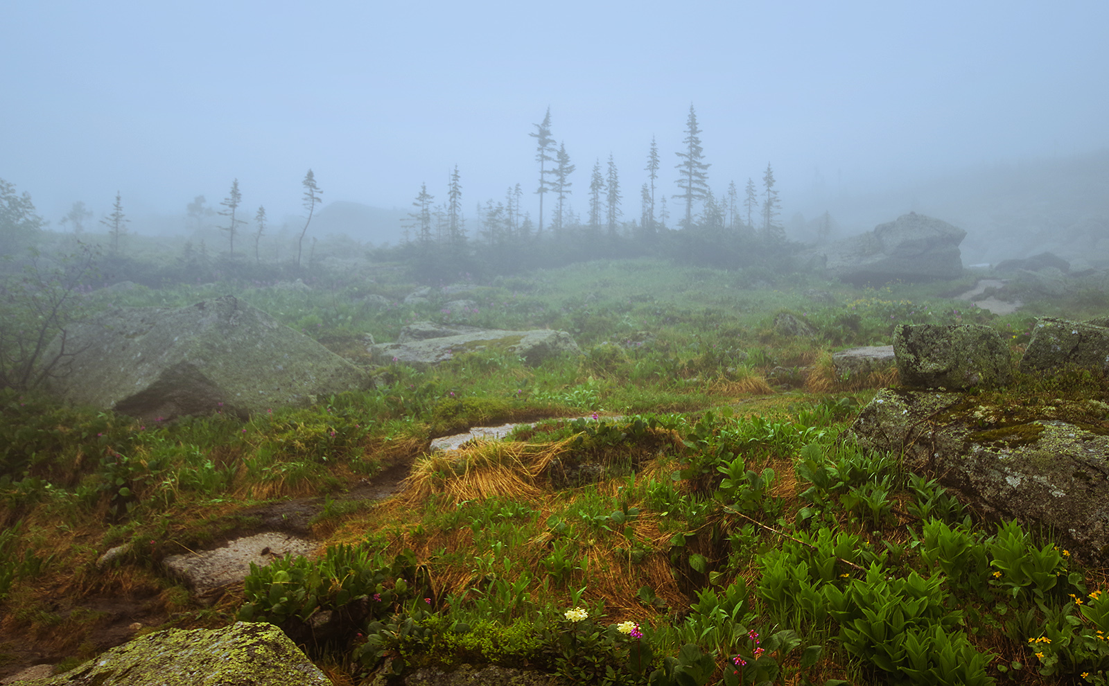 Why did we go to the Taiga Eye? - My, Ergaki, Travels, Mountain tourism, Michael, Health, The photo, Landscape, wildlife, Longpost