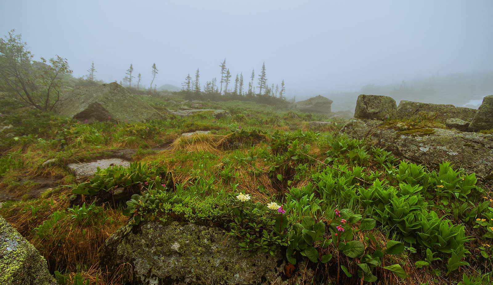 Why did we go to the Taiga Eye? - My, Ergaki, Travels, Mountain tourism, Michael, Health, The photo, Landscape, wildlife, Longpost