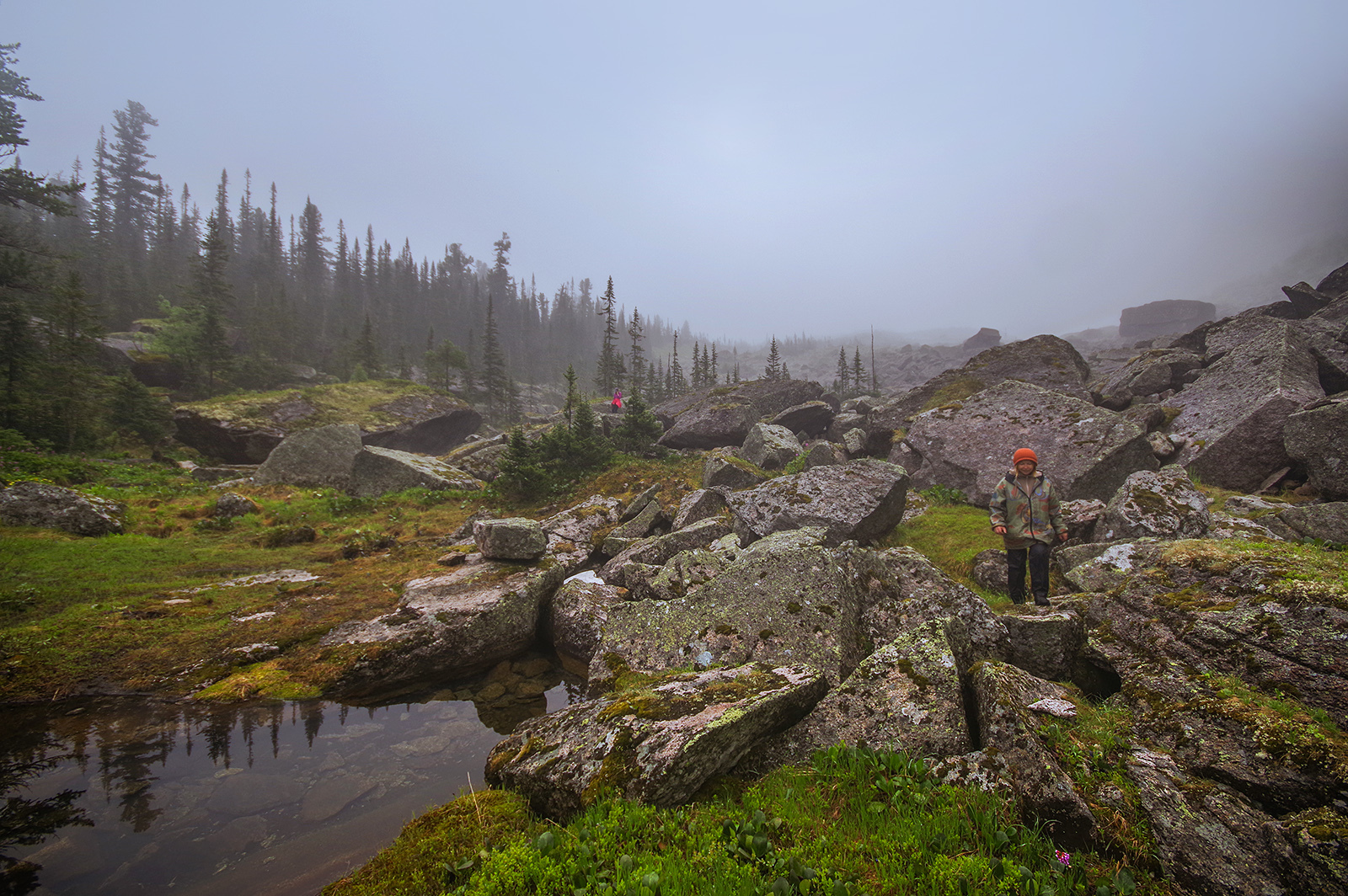 Why did we go to the Taiga Eye? - My, Ergaki, Travels, Mountain tourism, Michael, Health, The photo, Landscape, wildlife, Longpost