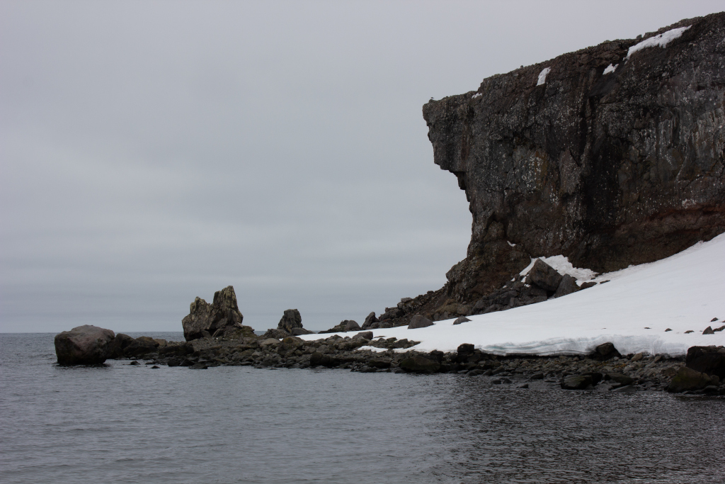 King George Island is the green part of Antarctica. Part 1 - My, Antarctica, Green Island, Работа мечты, Longpost