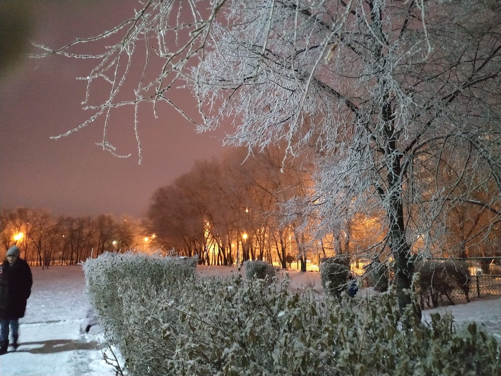 Fog and frost - My, The photo, Frost, Fog, Omsk, Longpost