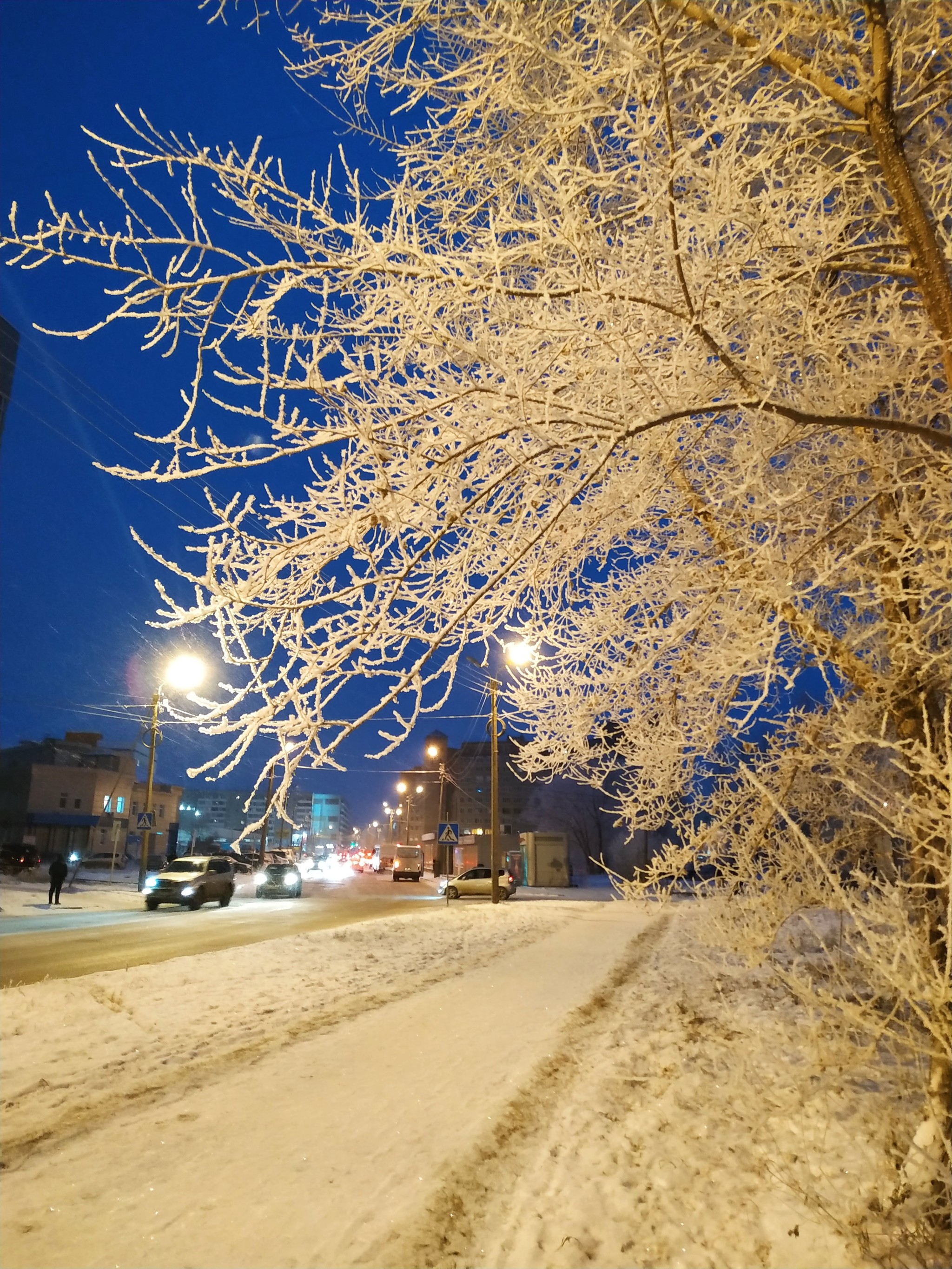 Fog and frost - My, The photo, Frost, Fog, Omsk, Longpost