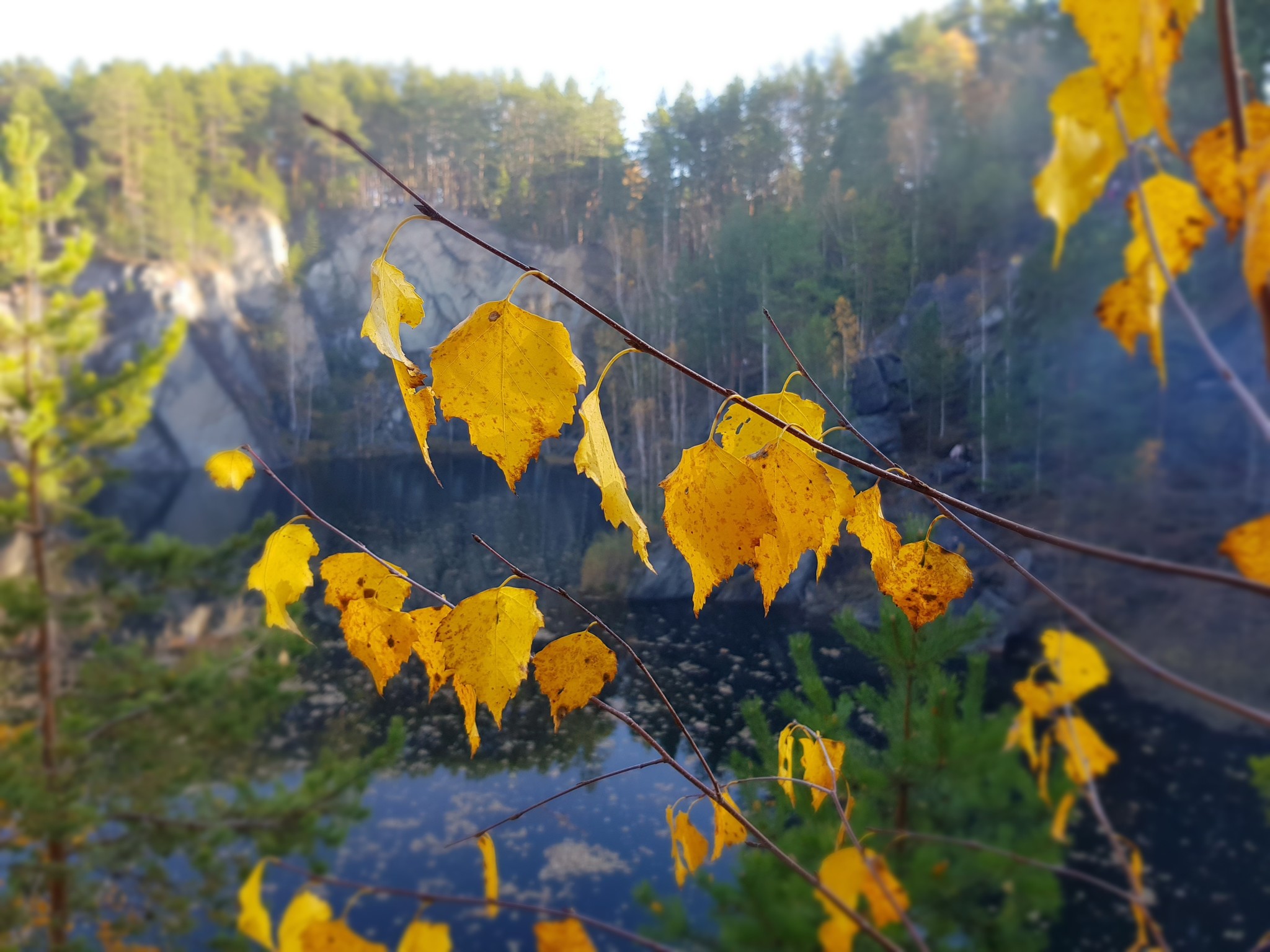 Nature lover - My, Nature, The photo, Talk Stone, Beautiful view, Longpost