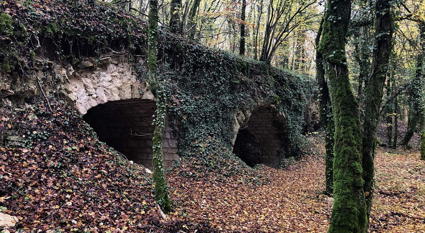 WARHEAD tourist: the dead land of Verdun - My, Longpost, Story, France, World War I, Tourism, Video