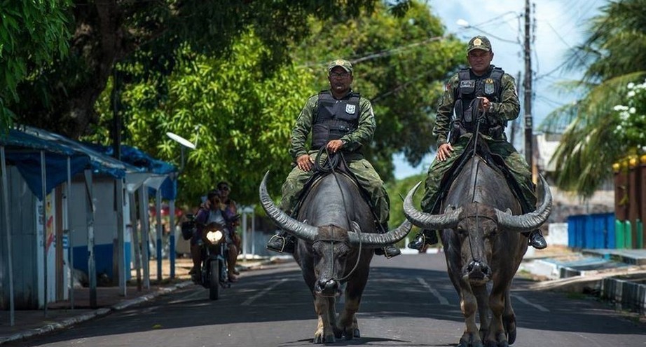 Law enforcement officers - Brazil, Police, Buffalo