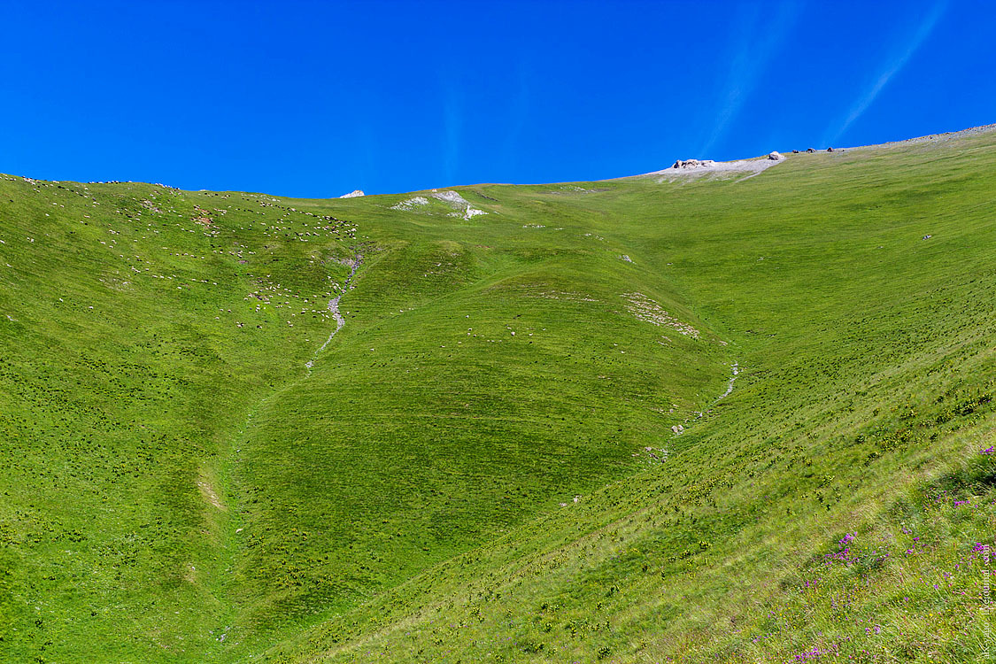 Caucasus. Chapter 2. Passes and Zaprudnoye Lake - My, Caucasus, Arkhyz, Travels, Tourism, The photo, Longpost