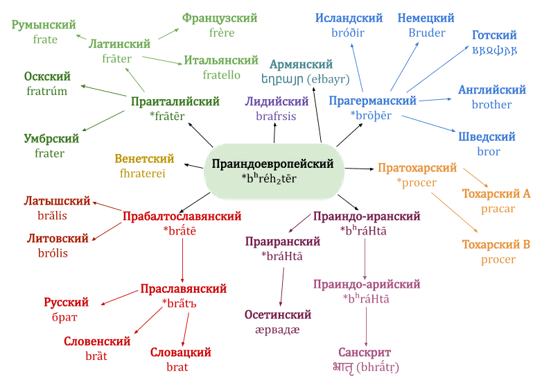 brother in Indo-European languages - My, Linguistics, Etymology, Vocabulary, Scheme, Brother