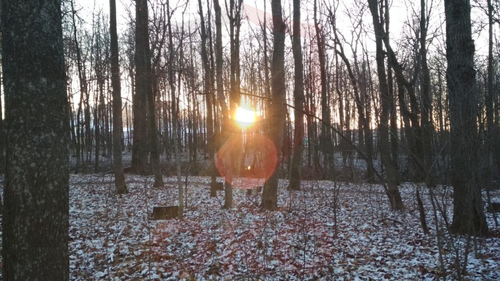 Scary tales of Lakreevsky forest - My, Eco-environment, Chuvashia, Cheboksary, The park, Lakreevsky Forest, Forest, Indifference, Longpost