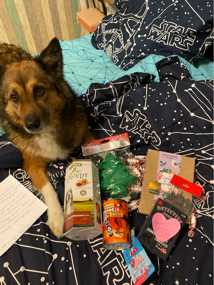 Exchange of gifts from Mirrochka. Travel of a gift from Moscow to Kostroma) - My, Gift exchange report, New Year's exchange from Mirrochka, Dog, Longpost, Gift exchange, Secret Santa