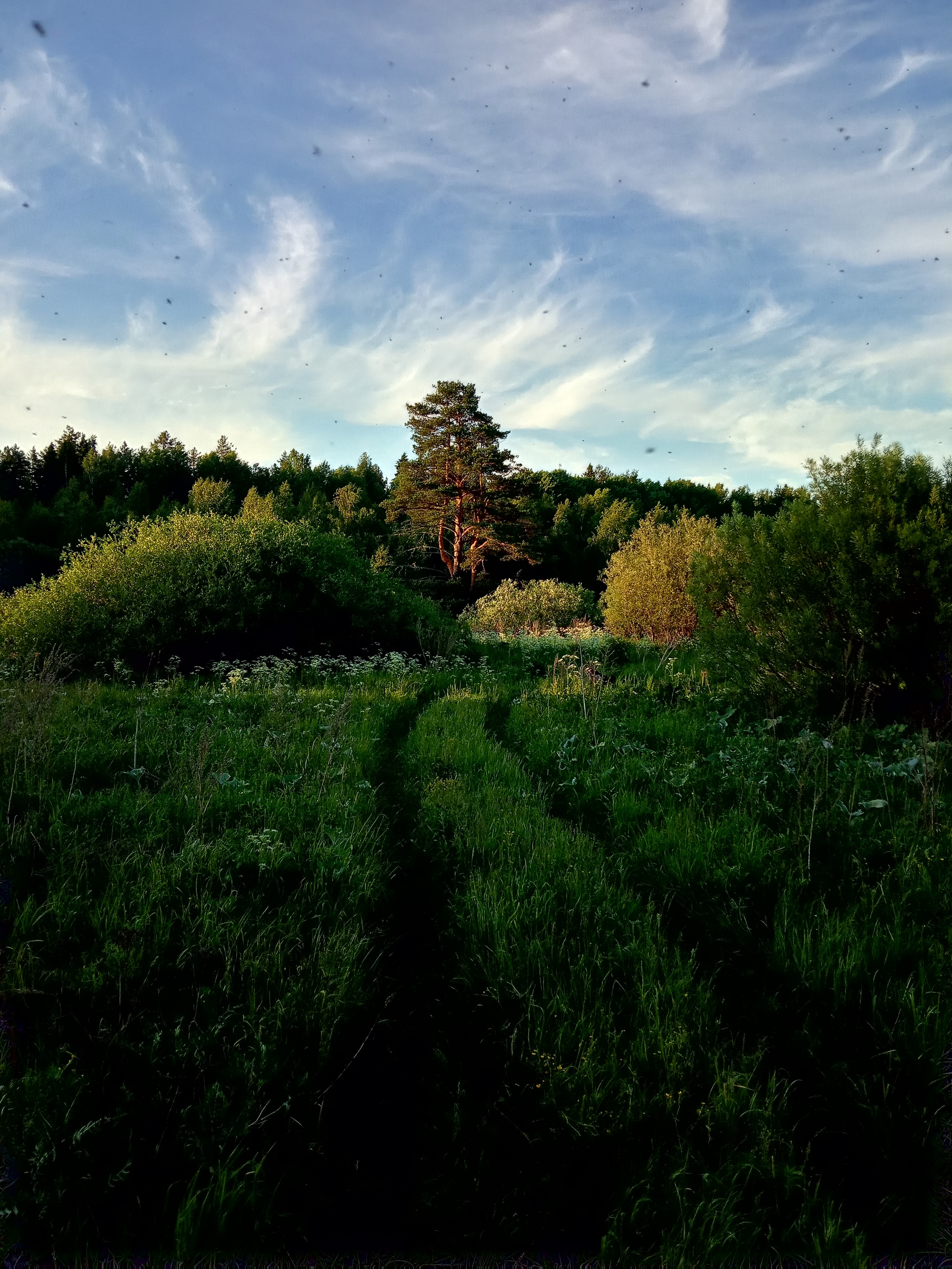 Вохма - родной поселок - Моё, Кострома, Фотография, Путешествие по России, Родина, Деревня, Длиннопост