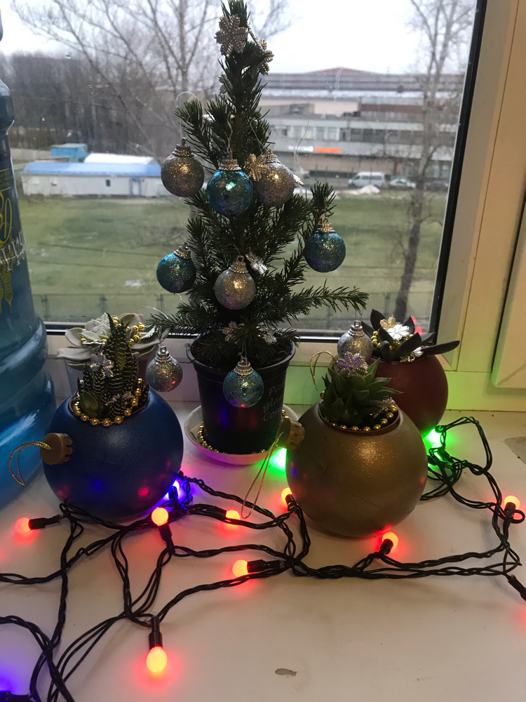 Economy Christmas tree - My, Christmas tree, Budget, New Year