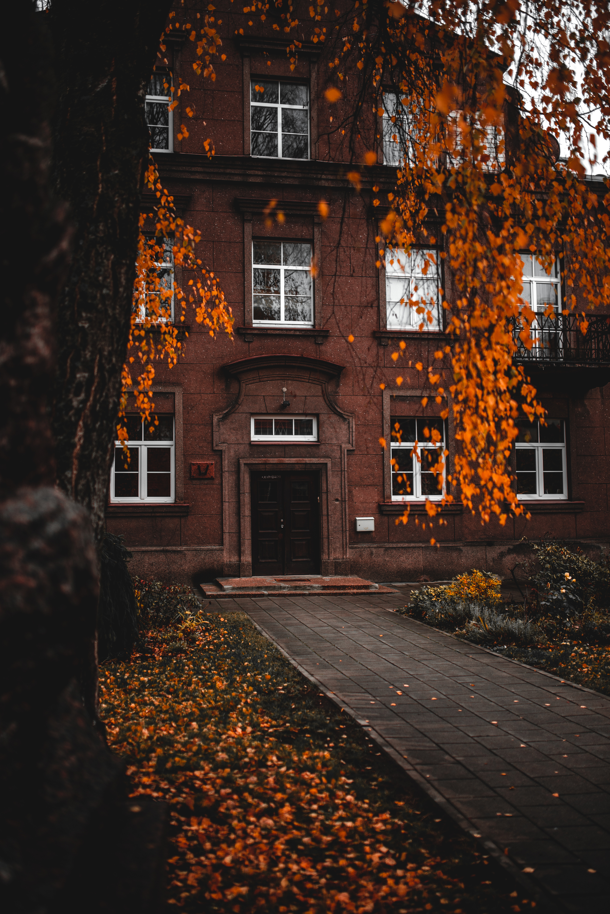 Backstreets of Vilnius - My, Vilnius, Lithuania, Autumn, The photo, Photobritish, Nikon, Longpost