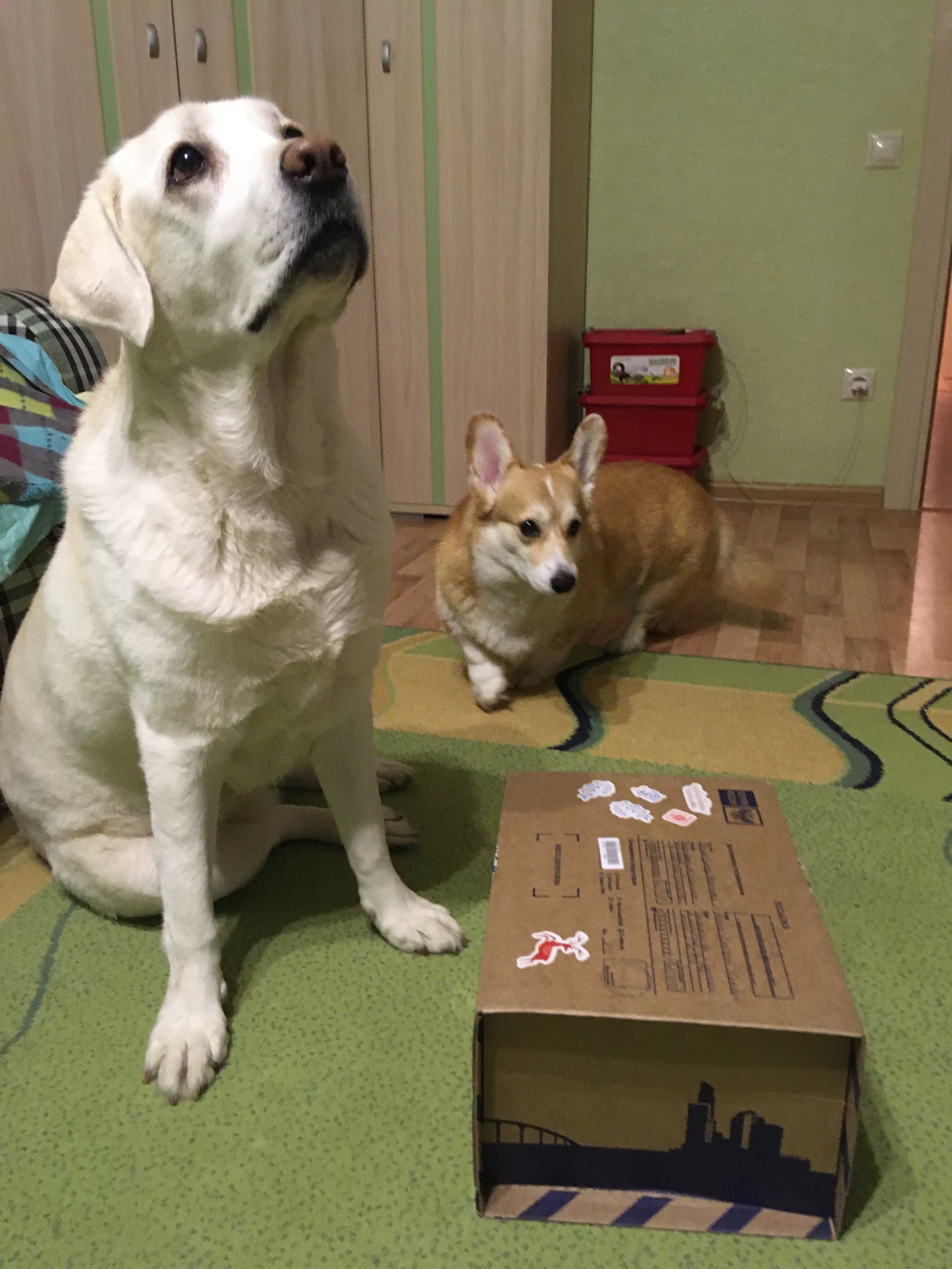 ADM 2019/2020 Kamensk-Uralsky - Tyumen - My, Gift exchange report, Gift exchange, Longpost, Secret Santa, New Year's gift exchange, Dog