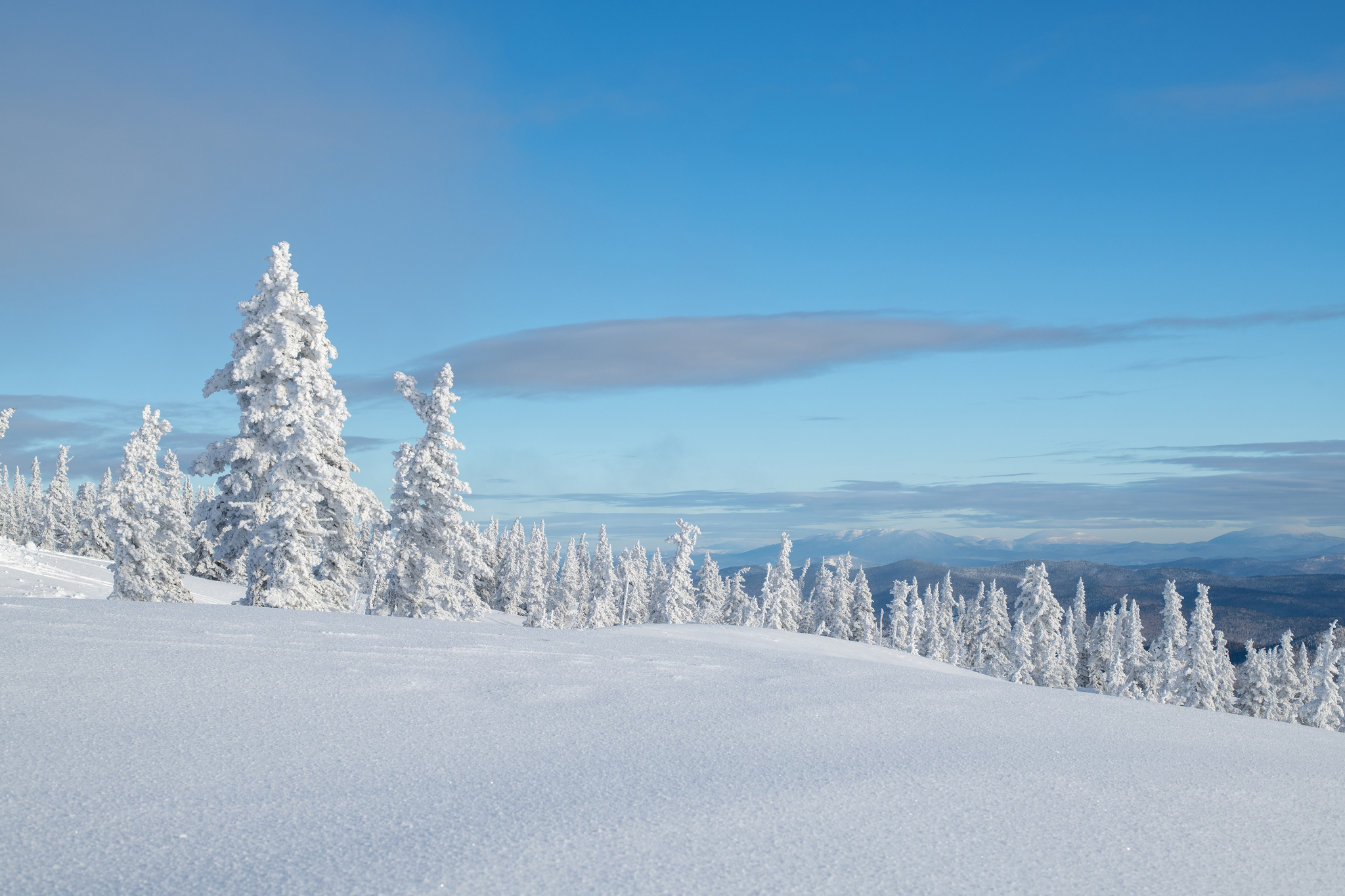 Winter's Tale - My, Christmas trees, The mountains, Sheregesh, Green Mountain, Landscape, Winter, Nikon, Longpost