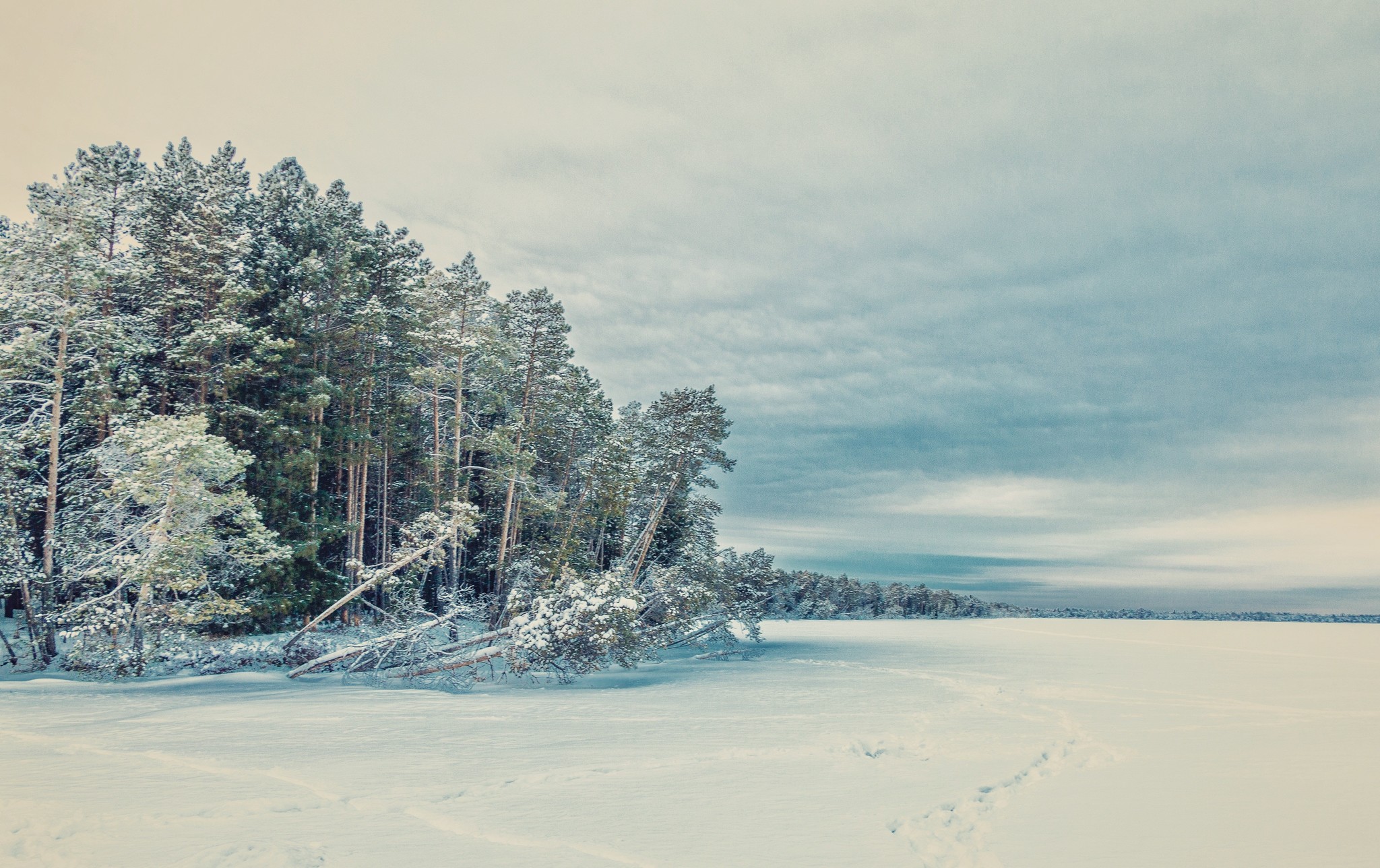 Winter day on the lake - My, Beginning photographer, Tobolsk, Landscape, Canon 70d, Nature, Lake