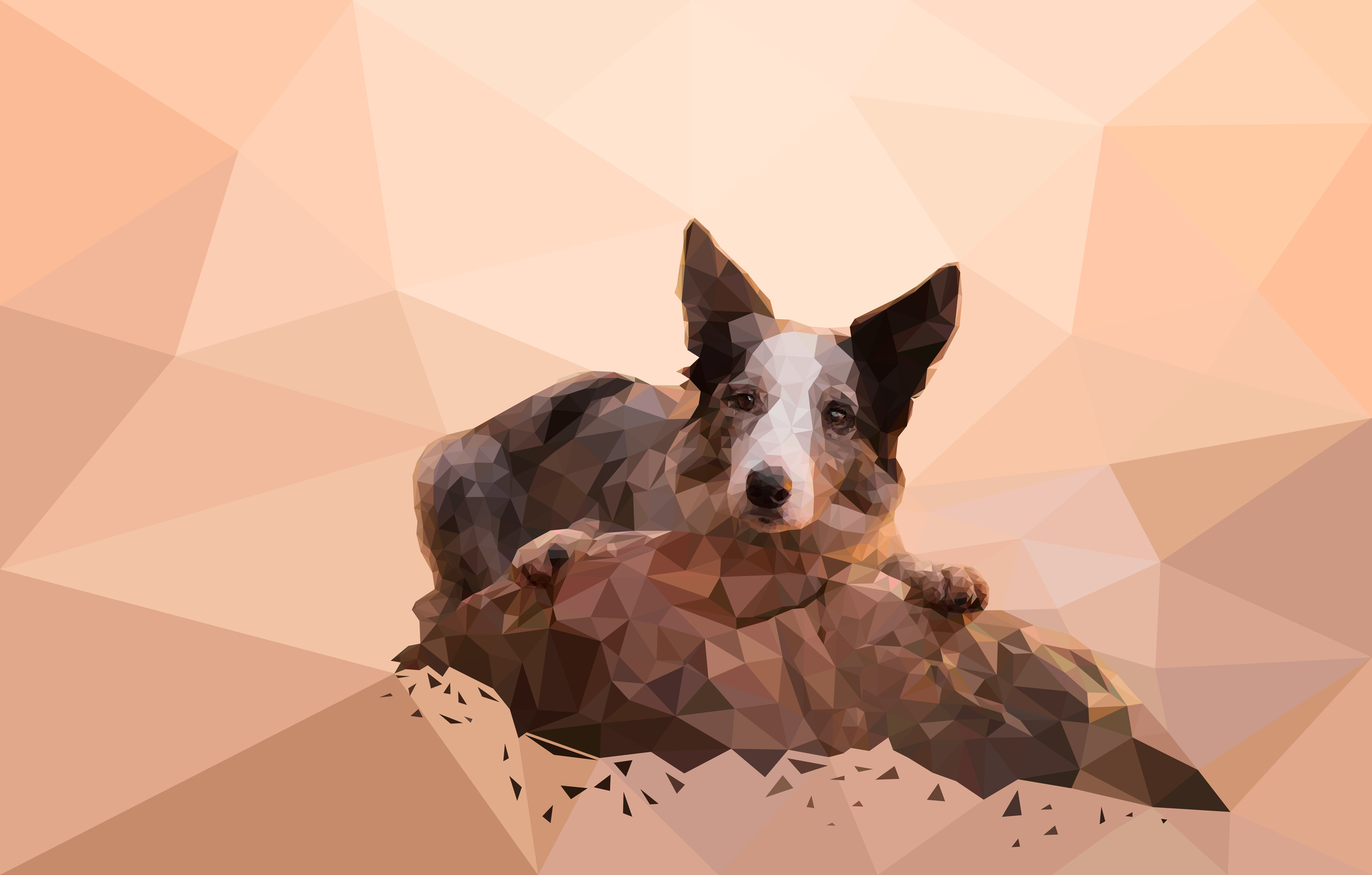 Low Poly Art - Собака на камне - Моё, Adobe Illustrator, Low poly, Собака, Polygon, Животные, Арт, 2D