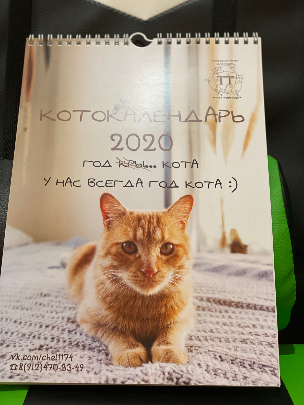 Reply to the post KOTOcalendar - My, cat, Catomafia, Longpost, Three Comrades Shelter, Milota