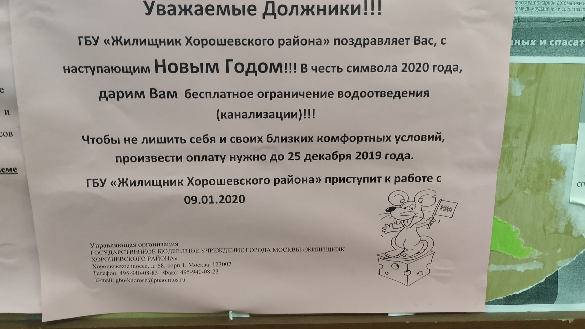 Новогодние подарки от управляющей компании | Пикабу