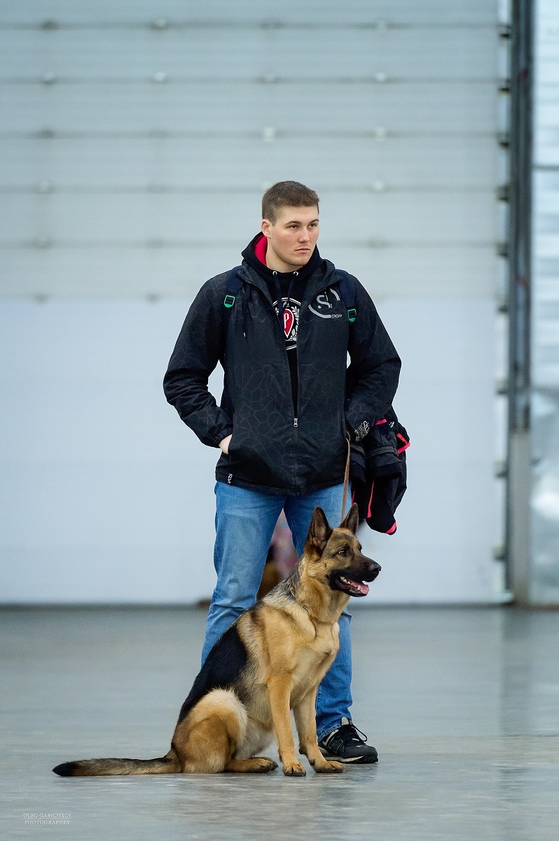 A small selection from dog shows held in the south of Russia and the Moscow region in 2019 - enjoy watching))) - My, The photo, Dogs and people, Dog, Dog show, Dog lovers, Dog days, Longpost