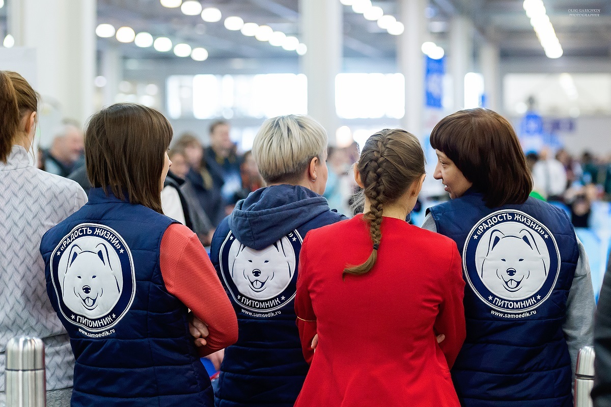 A small selection from dog shows held in the south of Russia and the Moscow region in 2019 - enjoy watching))) - My, The photo, Dogs and people, Dog, Dog show, Dog lovers, Dog days, Longpost