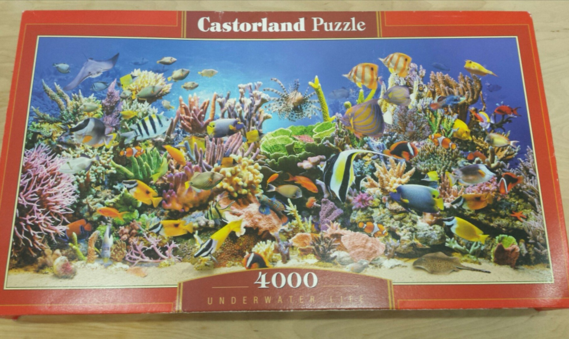 4000 puzzle - My, Puzzle, Hobby, Longpost