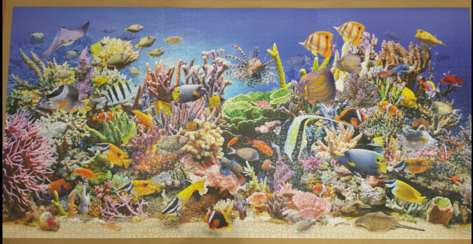 4000 puzzle - My, Puzzle, Hobby, Longpost