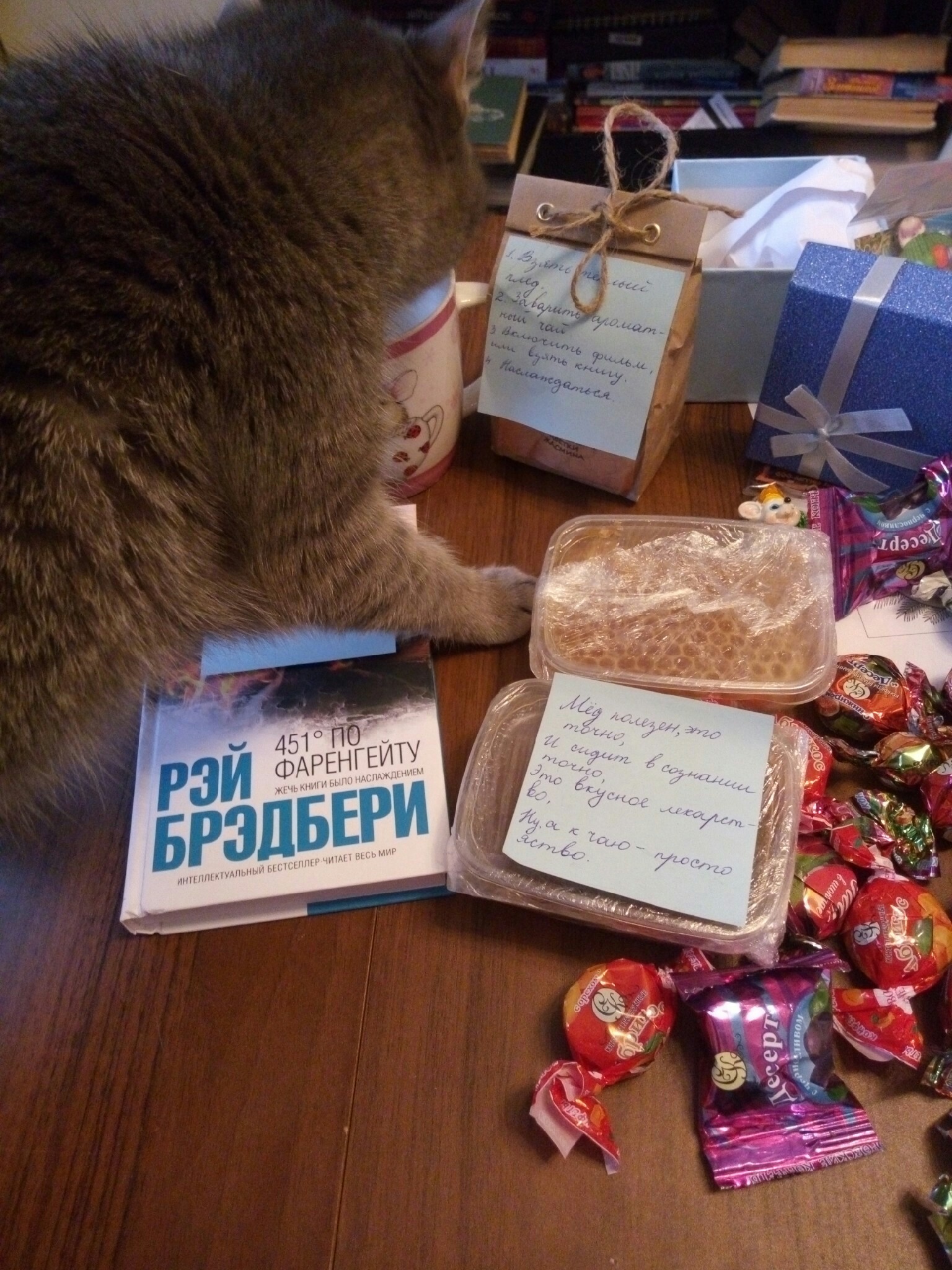 ADM from Kaluga region to Moscow region - Secret Santa, Gift exchange, New Year, Longpost, Gift exchange report, cat, New Year's gift exchange