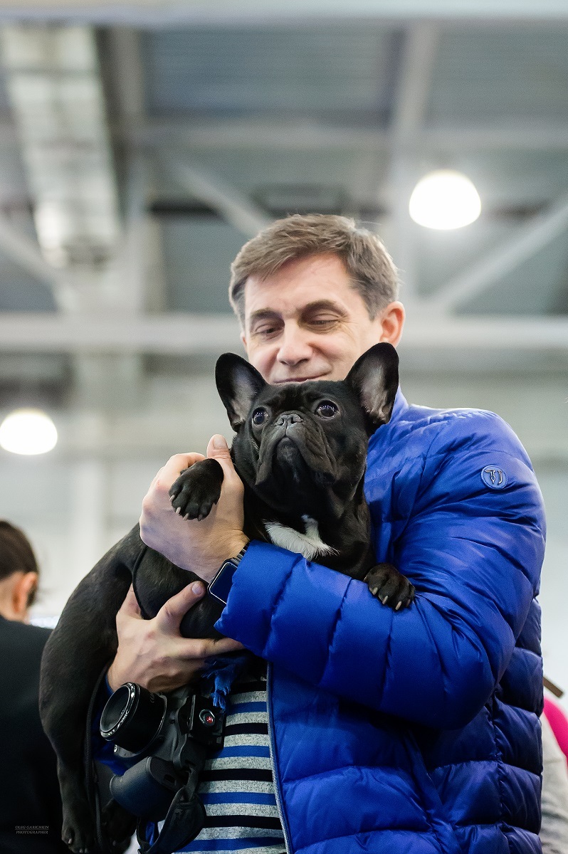 I continue to publish reportage photographs from dog shows held in 2019 in the South of Russia and the Moscow region - enjoy your viewing and - My, The photo, Dog show, Dog, Dogs and people, Dog lovers, Dog days, Longpost