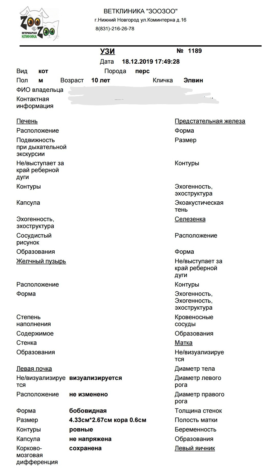 Нужна помощь. Заболел кот. Часть 2 - Моё, Помощь, Длиннопост, Ветеринария, Кот