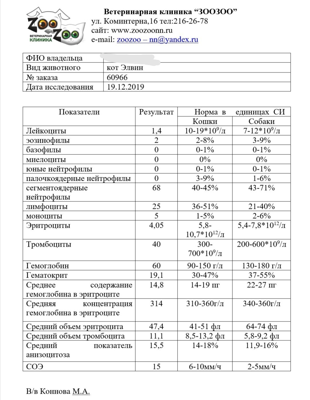 Нужна помощь. Заболел кот. Часть 2 - Моё, Помощь, Длиннопост, Ветеринария, Кот