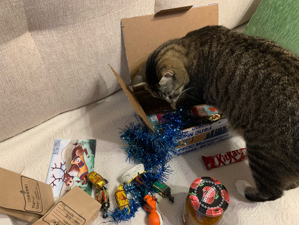 My first time. Kirovsk - Moscow - My, Secret Santa, Gift exchange, Kirovsk, Longpost, Gift exchange report, cat, New Year's gift exchange