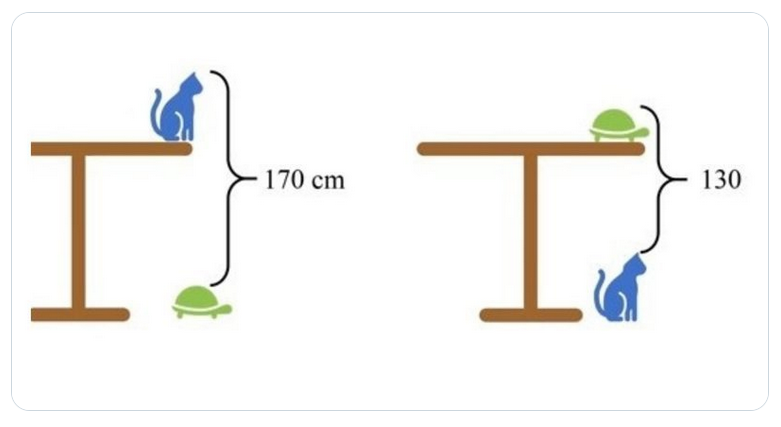 What is the height of the table? - Images, Task, Question