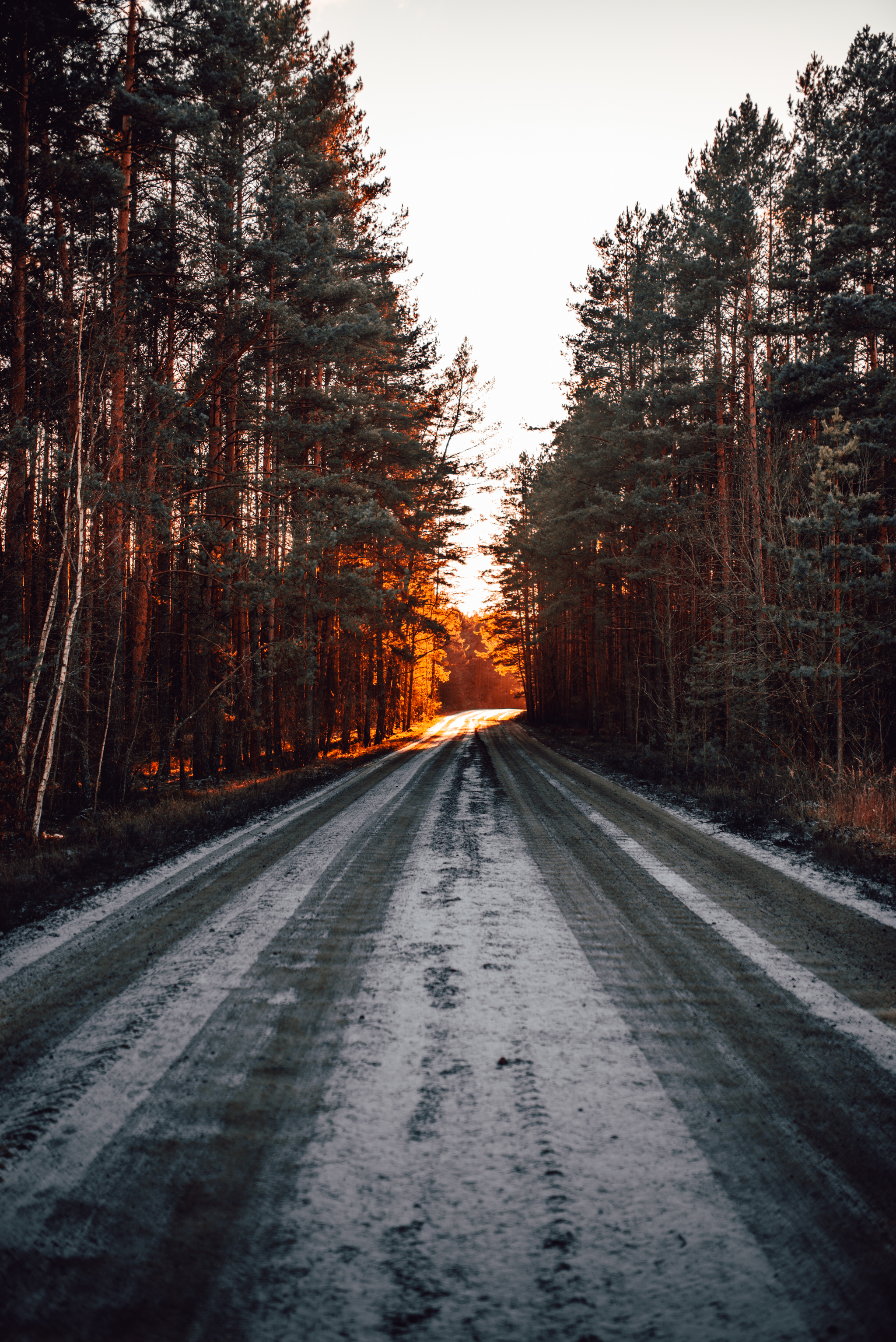 Frost and sun - My, Winter, December, Republic of Belarus, Nature, Forest, Snow, Road, Longpost