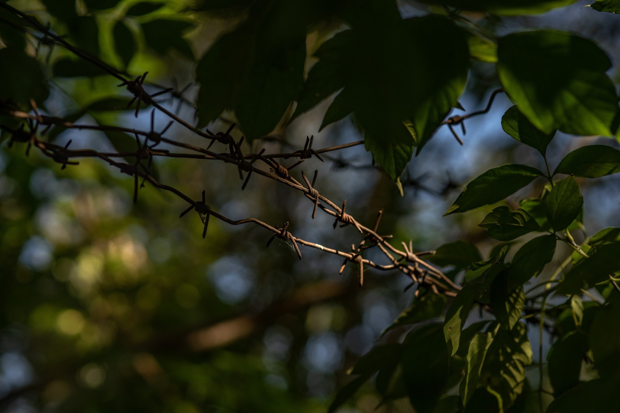 Neighborhoods of the closed city - My, The photo, Tomsk, Seversk, But Seversk, Barbed wire, Longpost