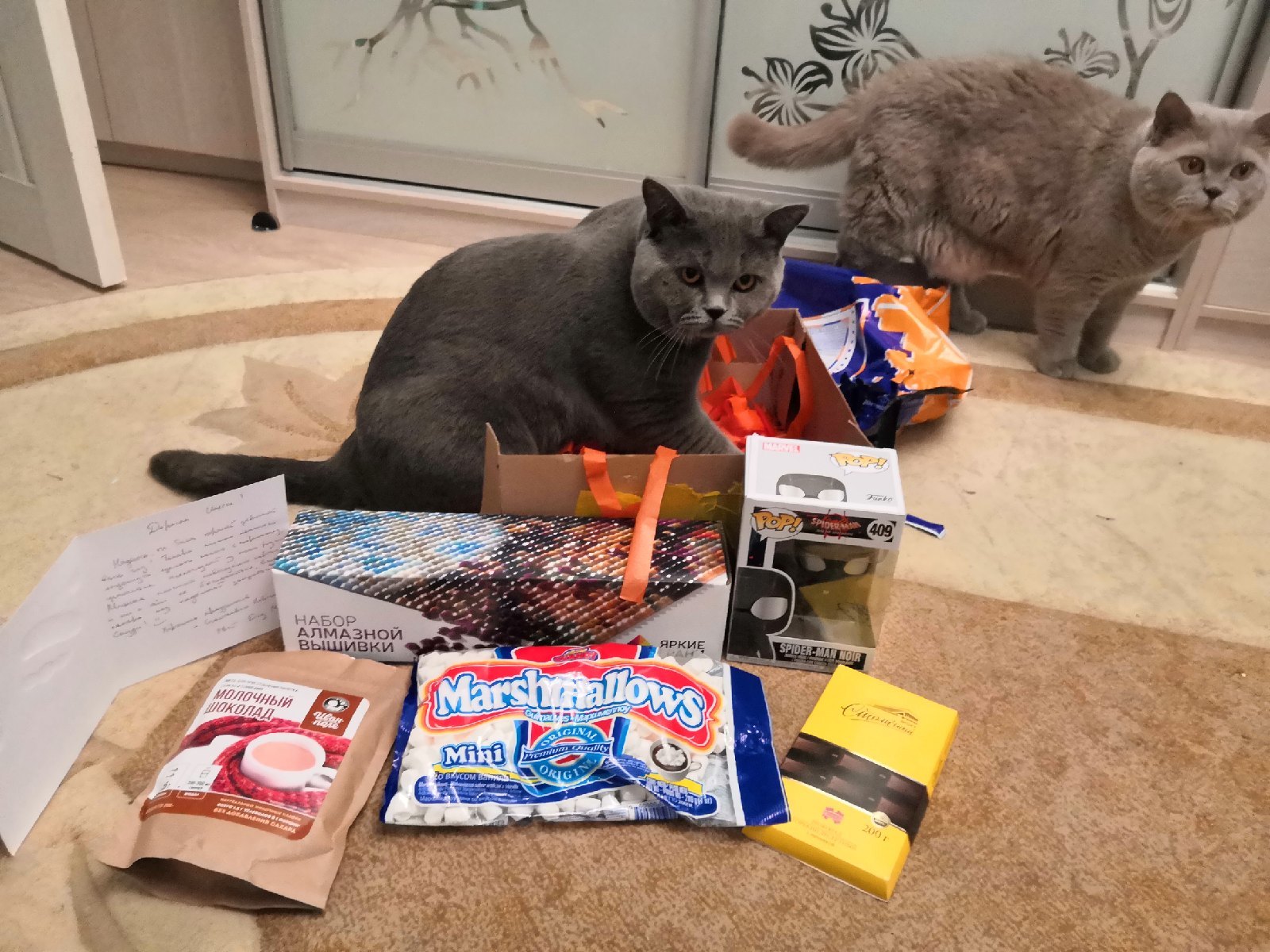 ADM Moscow-Novosibirsk - My, Gift exchange report, Secret Santa, New Year, Longpost, New Year's gift exchange, cat, Snake, Gift exchange