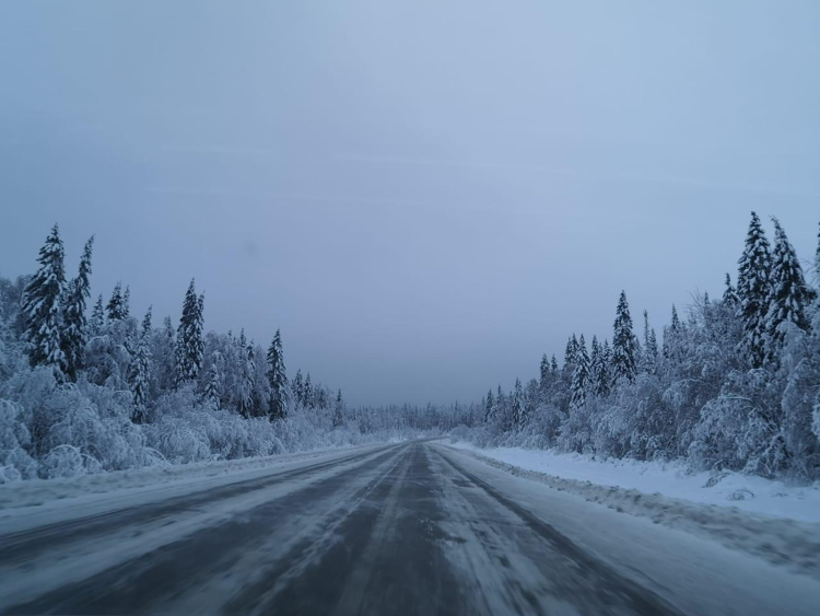 A little bit of winter)) - My, Snow, Winter, Village, New Year, Snowboard, Longpost