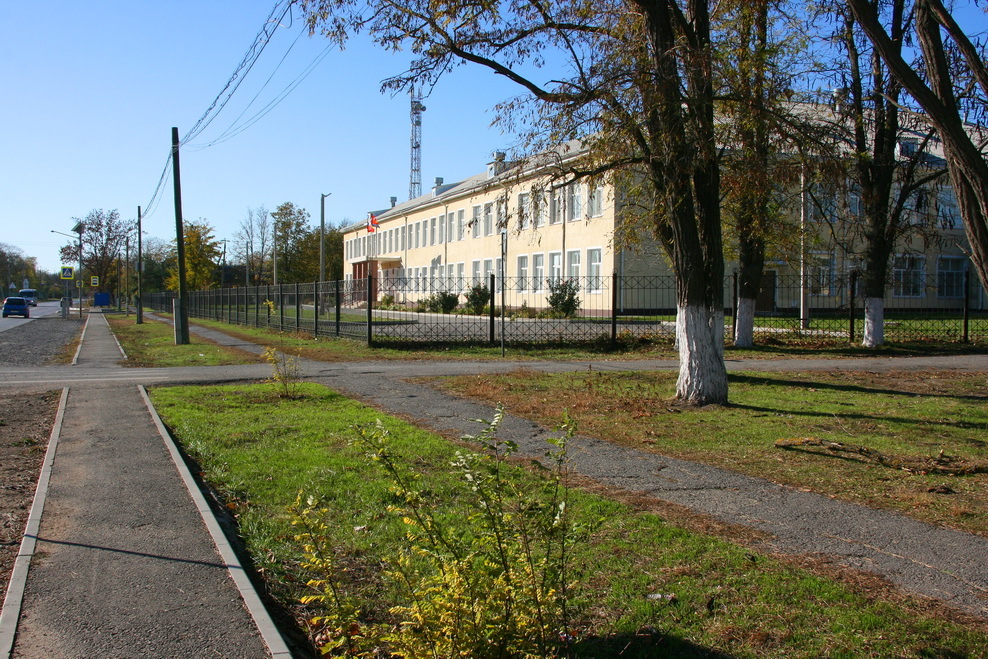 В деревне как в городе и даже лучше - Моё, Город, Деревня, Сад, Огород, Длиннопост