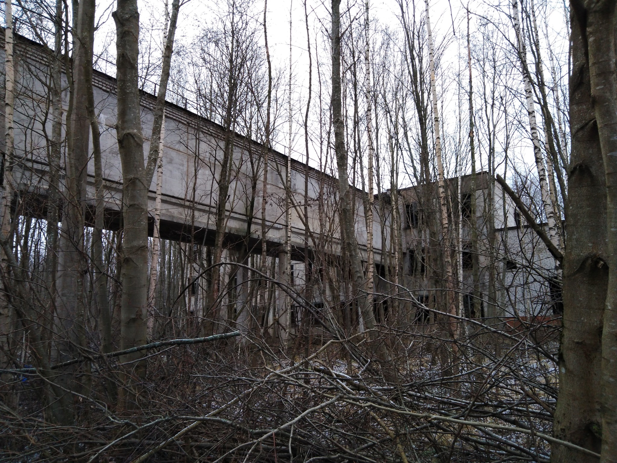 Sail the boat... - My, A boat, Abandoned, Question, Longpost