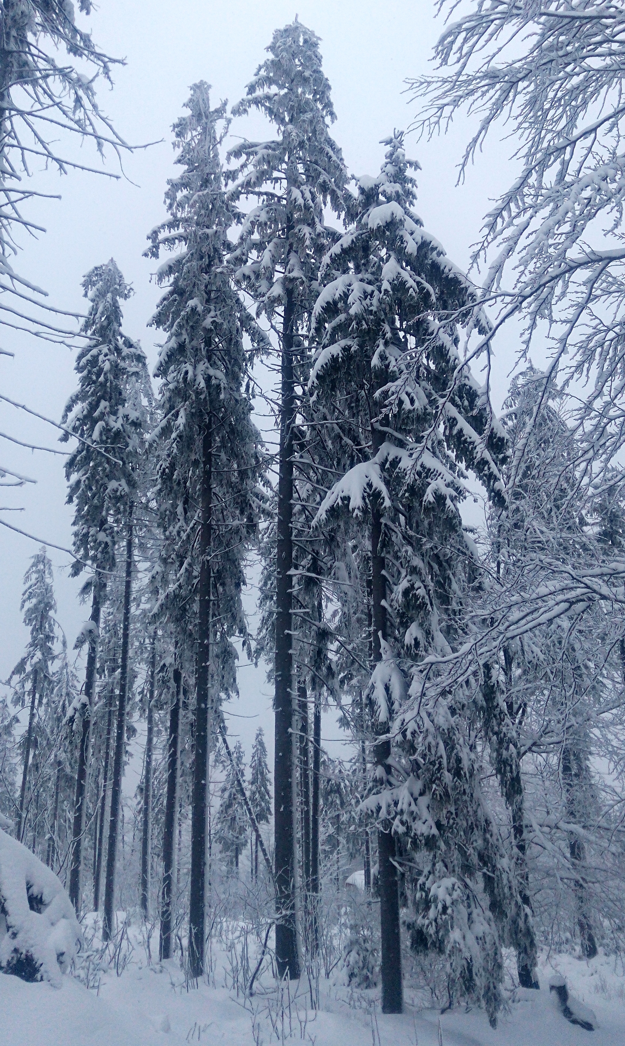 Winter - My, Longpost, Poland, Living abroad, Work abroad, Travels, Winter, The photo, The mountains